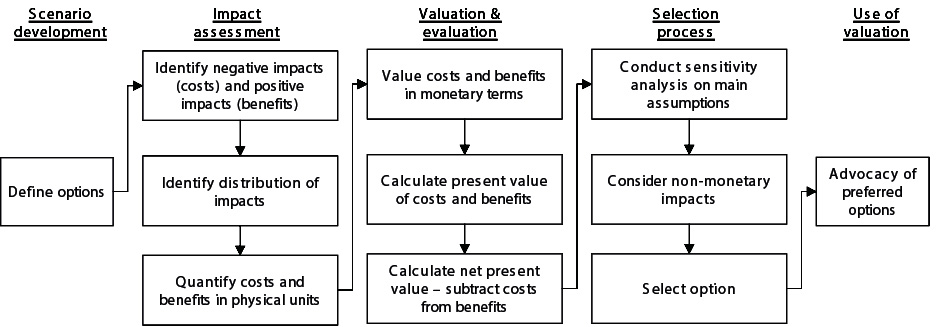 Methodological steps in cost-benefit analysis