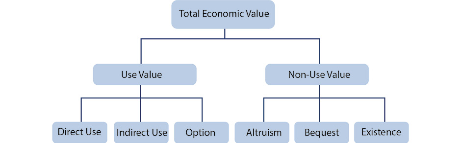 The components of Total Economic Value