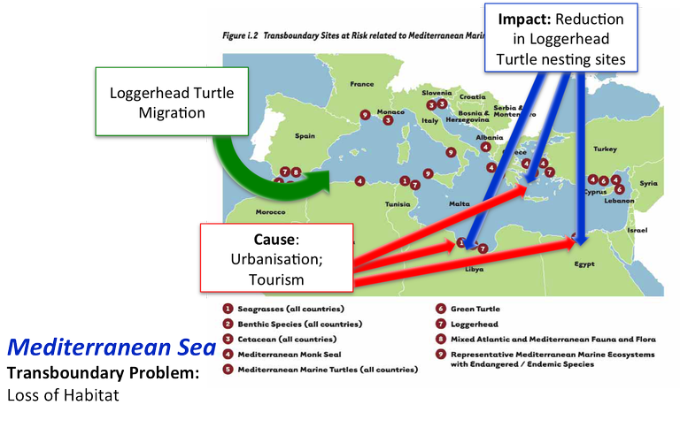 Cause and Effect (Impact) in the Mediterranean Sea